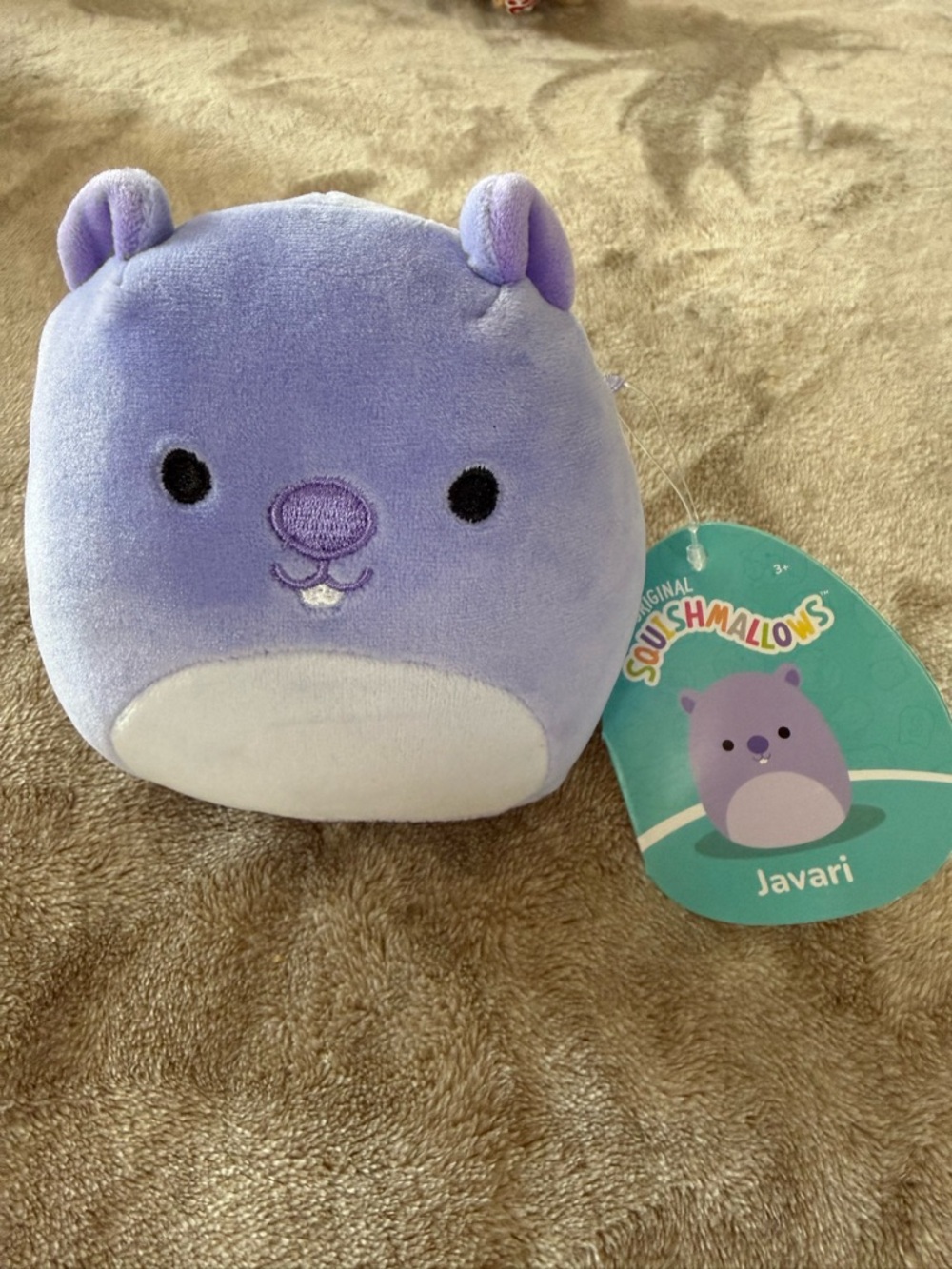 Javari Squishmallow